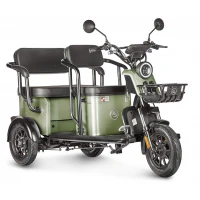 Электротрицикл Wanshida UM+ 60V 1000Вт Зеленый
